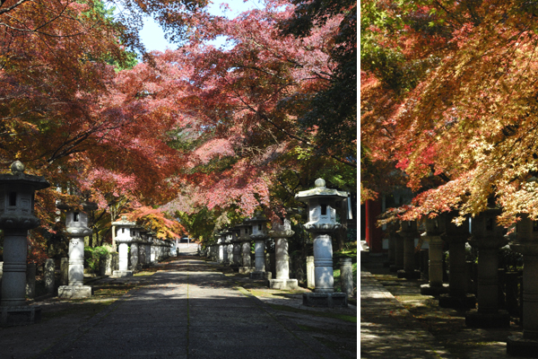 高山寺の石燈篭と紅葉