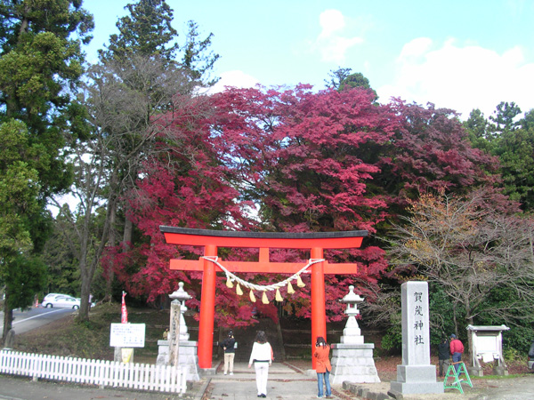 賀茂神社の紅葉